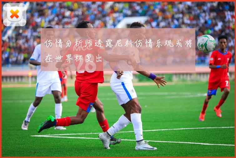 伤情分析师透露尼科伤情乐观或将在世界杯复出